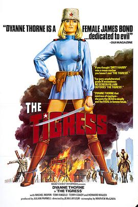 中山网站优化设计公司